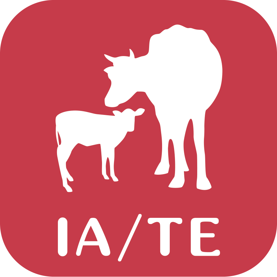 logo ia/te